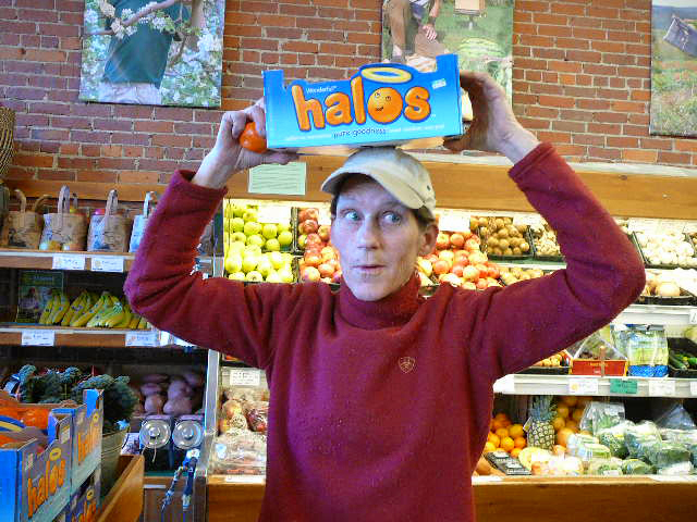 halos clementines near me